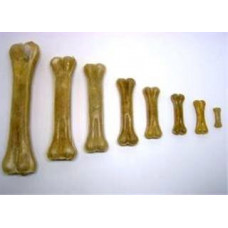 Pamlsok Salač Kosť prírodná 16-17 cm, 10 ks