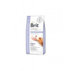Brit Veterinary Diets GF dog Gastrointestinal 12 kg