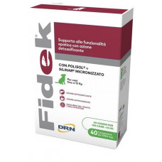 Fidek 1000 mg  40 tbl.