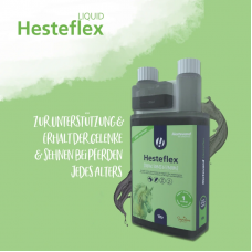 Hesteflex na silné kĺby a chrupavky s bosweliou a chondroitínom - Fľaša s dávkovačom, 1 l