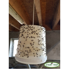 Biely kýblik na výrobu pasce na muchy Sticky Trap - Set 3 ks