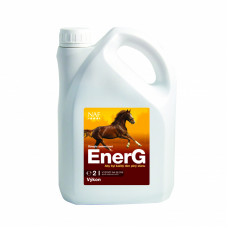 EnerG so železom pre maximálne využitie energie - kanister 2 l