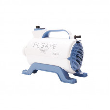 Fúkač (fén) Pegasa SANTA 1800W