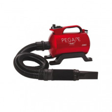 Fúkač Pegase DIABLO 2800W