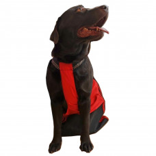 Chodiaci vak ANYONEGO červeno-čierna