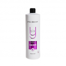 Šampón DERM Y6 Iv San Bernard 1000 ml