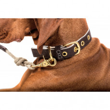 Piňatex obojok hnedý M 40/44/48/42 cm