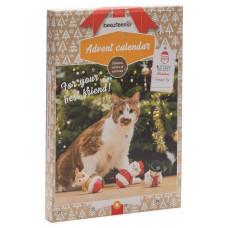 Beeztees PURR Adventný kalendár pre mačky 100g