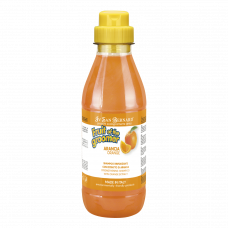 Šampón ARANCIA ISB - 500 ml