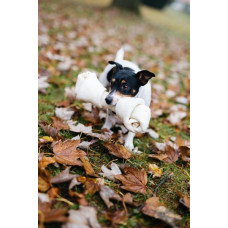 Byvolí uzol prírodný 28 cm PetsUp