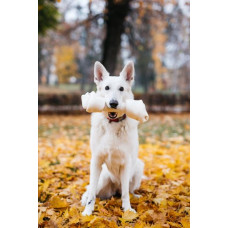 Byvolí uzol prírodný 33 cm PetsUp