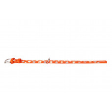 COLLAR Kožený obojok s hviezdami Glamour, 21-29cm/12mm, oranžová