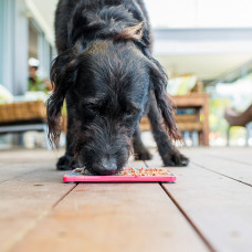 LM Buddy Tuff lízacia podložka, 23x20x20 cm, fialová