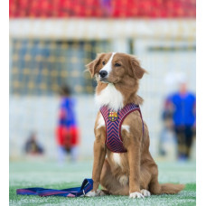 VESTA Air FC Barcelona XXL