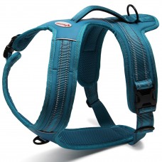 Record Action Alpi Harness Turquoise - veľmi pohodlný reflexný postroj pre psa, tyrkysový - Veľkosť: XS