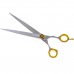 P&W Stiletto Straight Scissors - pevné rovné nožnice na ošetrovanie s guľôčkovým ložiskom, skosenými hranami a širokými čepeľami - Veľkosť: 9 "