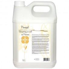 Diamex Provencal Miel - výživný šampón pre psov s medom, na poškodenú srsť, koncentrát 1:8 - 5L