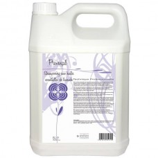 Diamex Provencal Lavender - upokojujúci šampón s levanduľou, koncentrát 1:8 - Objem: 5L