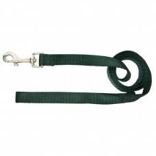 Hamilton Single Thick Leash Short - nylonové vodítko pre psov malých plemien, šírka 16 mm, dĺžka 122 cm - Farba: Zelená