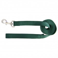 Hamilton Single Thick Leash Short - nylonové vodítko pre psov stredných a veľkých plemien, šírka 25 mm, dĺžka 122 cm - Farba: Zelená