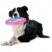 Flamingo Amelia Flying Disc 21cm - gumené frisbee pre psov