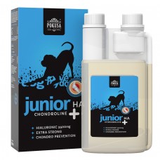Temptation ChondroLine Junior HA 500ml - tekutý prípravok podporujúci činnosť kĺbov u šteniat, s kyselinou hyalurónovou
