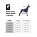Hurtta Razzle-Dazzle Y-Harness Bilberry - nastaviteľný ochranný postroj pre psov - 80-100 cm