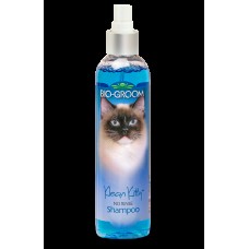 Bio-Groom Clean Kitty No Rinse 236ml - šampón v spreji pre mačky, na suché kúpanie