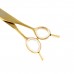 P&W Filip Viper Curved Scissors - profesionálne nožnice s vypuklou čepeľou, zahnuté - 9"