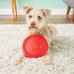 KONG Flyer - dog frisbee, gumený vrhací kotúč, červený - S