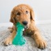 KONG Squeezz Dental Stick M (20cm) - hryzátko pre psov, čistí zuby a masíruje ďasná