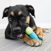 KONG CoreStrength Bone - gumená kosť pre psa so zosilneným jadrom - S/M