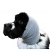 Show Tech Ear Buddy XL - sivá čelenka na sušenie plachých psov, veľmi veľká