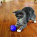 KONG loptička na dávkovanie mačiek - hračka na mačacie maškrty, ľahká plastová guľa