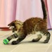 KONG Cat Active tenisové loptičky 3ks. - malé tenisové loptičky pre mačky so zvončekom vo vnútri