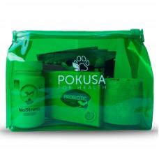 Temptation First Aid Kit - lekárnička pre psov, na spoločné cestovanie a výlety