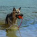 KONG Aqua - gumená, plávajúca hračka pre psa s lanom, oranžová - L