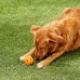 Chuckit! Breathe Right Fetch Ball M (6,4 cm) - mäkká prelamovaná loptička pre stredného psa