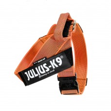 Julius-K9 IDC Color & Grey Belt Harness Orange - opaskový postroj, postroj pre psa, oranžový - 1