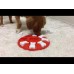Nina Ottosson Dog Smart Level 1 - jednoduchá interaktívna hra pre psov, úroveň 1