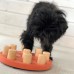 Nina Ottosson Dog Smart Composite Orange – jednoduchá psí logická hra, úroveň 1