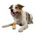 Kiwi Walker Character Baby - pískacia hračka pre psa, kiwi vajíčko