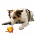 Kiwi Walker Character Baby - pískacia hračka pre psa, kiwi vajíčko