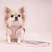 Flamingo Small Dog Leash Pink - vodítko pre malého psa, ružové, nylonové, 1,5x120cm