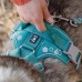 Hurtta Weekend Warrior Harness Peacock - postroje pre aktívnych psov - 100-120