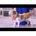 Pet + Me Medium Silicone Brush Yellow - silikónová kefa pre psov s krátkou a hustou srsťou, dlhou a hodvábnou alebo drsnou srsťou