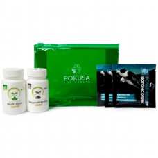 Temptation First Aid Kit Carbon - lekárnička pre psov, na spoločné výlety a výlety s aktívnym uhlím