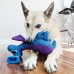 KONG Woozles Blue M 24cm - silná hračka pre psa, modrý mimozemšťan s fajkami