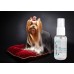 Show Tech+ Protect & Shine Serum 50 ml - intenzívne hydratačné a vyživujúce sérum na psie chlpy s tepelnou ochranou