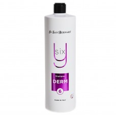 Iv San Bernard Shampoo Derm Y6 1000ml - profesionálny šampón pre psov a mačky na problémovú pokožku
